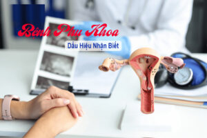 dấu hiệu nhận biết các bệnh phụ khoa