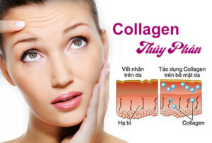 collagen thủy phân