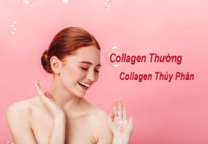 collagen thủy phân