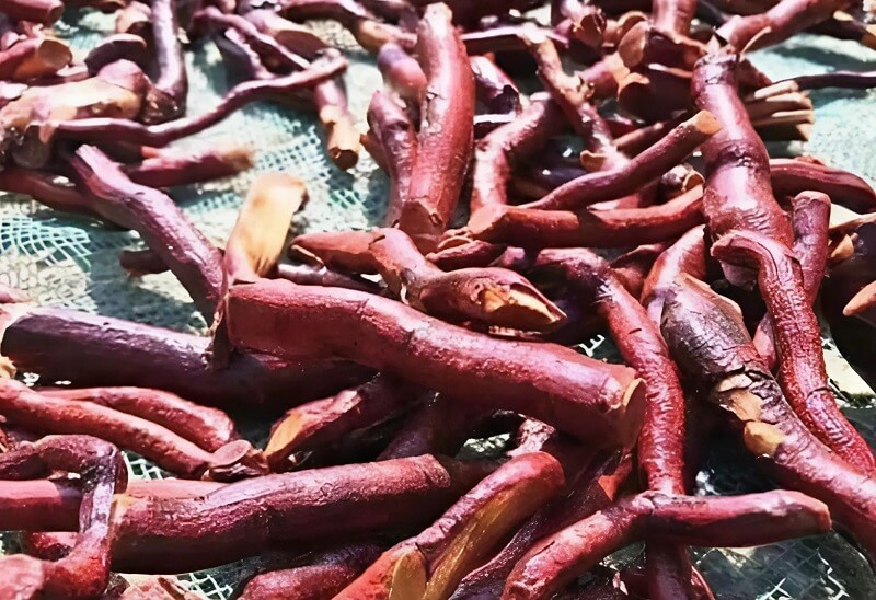 cây mú từn