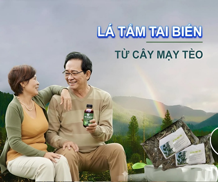 lá tắm tai biến từ cây mạy tèo