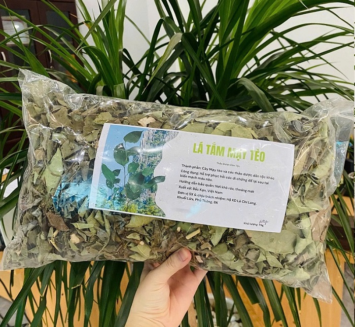 lá tắm từ cây mạy tèo