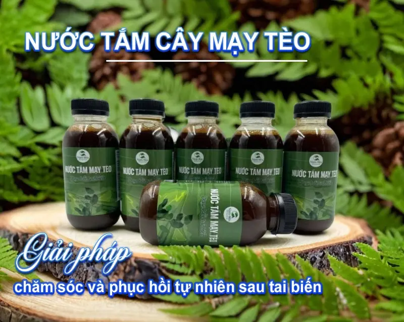 nước tắm tai biến tư cây mạy tèo